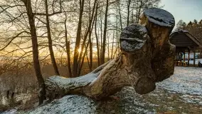 Wschód słońca nad jeziorem Niegocin w Wilkasach - zdjęcie 62