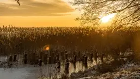 Wschód słońca nad jeziorem Niegocin w Wilkasach - zdjęcie 60
