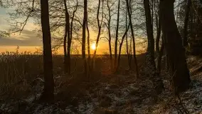 Wschód słońca nad jeziorem Niegocin w Wilkasach - zdjęcie 39