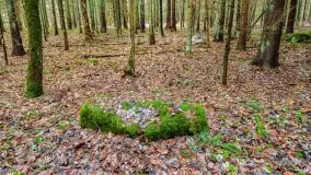 Kamienie ofiarne w okolicach jeziora Kruklin - zdjęcie 3