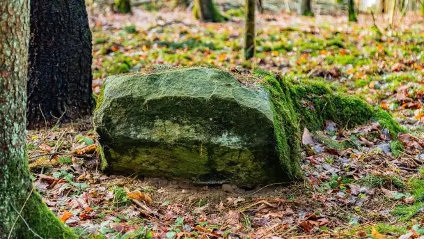 Kamienie ofiarne w okolicach jeziora Kruklin - zdjęcie 1