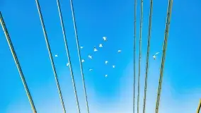 Zimowe Mikołajki, luty 2022 r. - zdjęcie 55