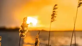 Zachód słońca nad jeziorem Niegocin, Bystry, luty 2021 - zdjęcie 44