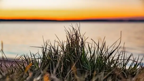 Jezioro Kisajno po zachodzie słońca, luty 2022 r. - zdjęcie 8