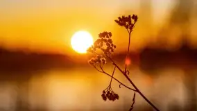 Zachód słońca nad grodziskiem Święta Góra i jeziorem Wojnowo, luty 2022 r. - zdjęcie 13