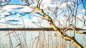 Jezioro Kirsajty i przedwiośnie - zdjęcie 30