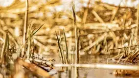 Jezioro Kirsajty i przedwiośnie - zdjęcie 24