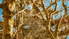 Jezioro Kirsajty i przedwiośnie - zdjęcie 58