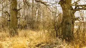 Jezioro Kirsajty i przedwiośnie - zdjęcie 50