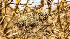 Jezioro Kirsajty i przedwiośnie - zdjęcie 55