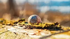 Jezioro Kirsajty i przedwiośnie - zdjęcie 54