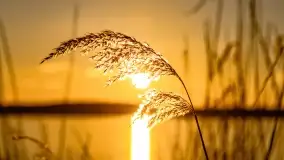 Zachód słońca nad jeziorem Kirsajty, marzec 2022 r. - zdjęcie 21