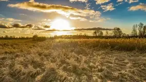 Zachód słońca nad jeziorem Tałty i kanałem Tałckim - zdjęcie 59