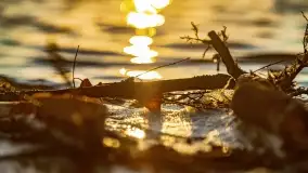Zachód słońca nad jeziorem Tałty i kanałem Tałckim - zdjęcie 45