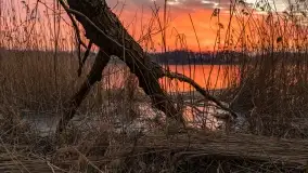 Marcowy zachód słońca nad jeziorem Kisajno - zdjęcie 53