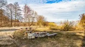 Jezioro Dobskie w okolicach Dziewiszewa, wyspa Gilma - zdjęcie 18