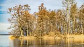 Jezioro Dobskie w okolicach Dziewiszewa, wyspa Gilma - zdjęcie 30