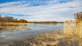 Jezioro Dobskie w okolicach Dziewiszewa, wyspa Gilma - zdjęcie 11