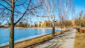 Przedwiośnie w Ełku, marzec 2022 r. - zdjęcie 23