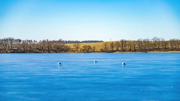 Przedwiośnie w Ełku, marzec 2022 r. - zdjęcie 6