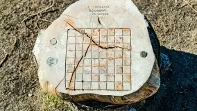 Przedwiośnie w Ełku, marzec 2022 r. - zdjęcie 46