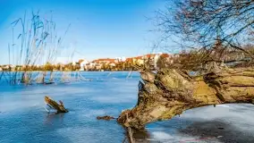 Przedwiośnie w Ełku, marzec 2022 r. - zdjęcie 13