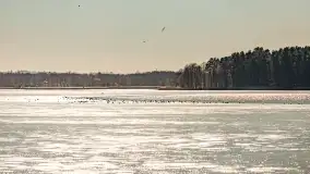 Przedwiośnie w Ełku, marzec 2022 r. - zdjęcie 50