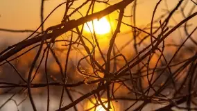 Zachód słońca nad jeziorem Tajty w Wilkasy Zalesie - zdjęcie 7