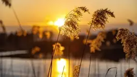 Zachód słońca nad jeziorem Tajty w Wilkasy Zalesie - zdjęcie 27