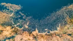 Zachód słońca nad jeziorem Mój - zdjęcie 7