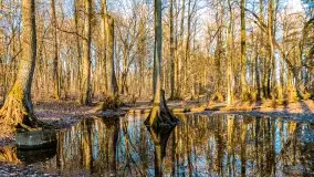 Zachód słońca nad jeziorem Mój - zdjęcie 33