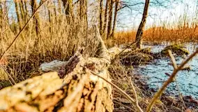 Zachód słońca nad jeziorem Mój - zdjęcie 27