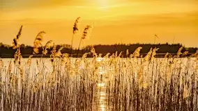 Zachód słońca nad jeziorem Mój - zdjęcie 37