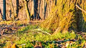 Zachód słońca nad jeziorem Mój - zdjęcie 39