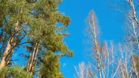 Mazury - inspiracja fotograficzna o każdej porze roku - zdjęcie 8