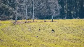 Mazury - inspiracja fotograficzna o każdej porze roku - zdjęcie 16