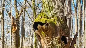 Mazury - inspiracja fotograficzna o każdej porze roku - zdjęcie 33