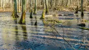 Mazury - inspiracja fotograficzna o każdej porze roku - zdjęcie 27