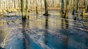 Mazury - inspiracja fotograficzna o każdej porze roku - zdjęcie 38