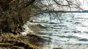 Wietrzny Dargin na początku wiosny - zdjęcie 26