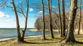 Wietrzny Dargin na początku wiosny - zdjęcie 21