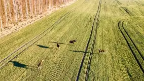 Mazury na niewykorzystanych ujęciach, styczeń - marzec 2022 - zdjęcie 2