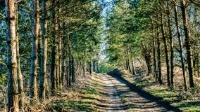 Mazury na niewykorzystanych ujęciach, styczeń - marzec 2022 - zdjęcie 21