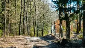 Mazury na niewykorzystanych ujęciach, styczeń - marzec 2022 - zdjęcie 27