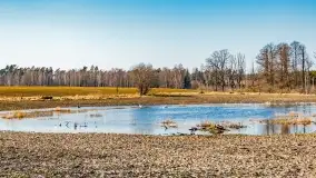 Mazury na niewykorzystanych ujęciach, styczeń - marzec 2022 - zdjęcie 39