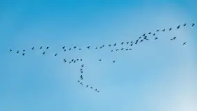 Jezioro Śniardwy i Nowe Guty na początku wiosny - zdjęcie 21