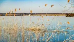 Jezioro Śniardwy i Nowe Guty na początku wiosny - zdjęcie 38