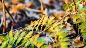 Zachód słońca nad jeziorem Wydmińskim, marzec 2022 - zdjęcie 26