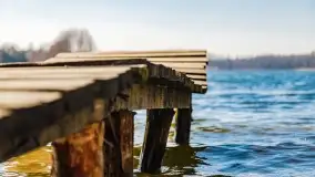 Binduga Zimny Kąt na początku wiosny 2022 - zdjęcie 43