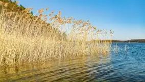 Binduga Zimny Kąt na początku wiosny 2022 - zdjęcie 39